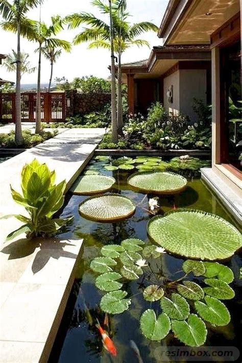 15 Most Beautiful Tropical Style Garden Design İdeas İnspiration Pictures