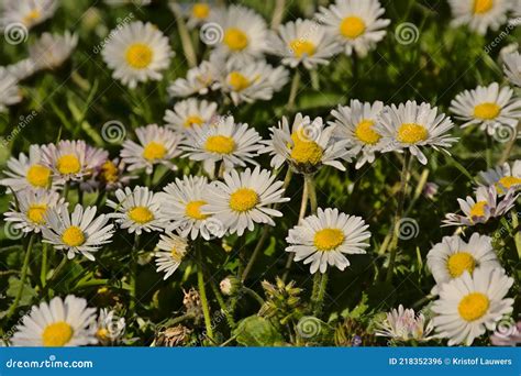 Daisy Chaining Dc Batteries Battery System High Power Dc Power Supply Royalty Free Stock Photo