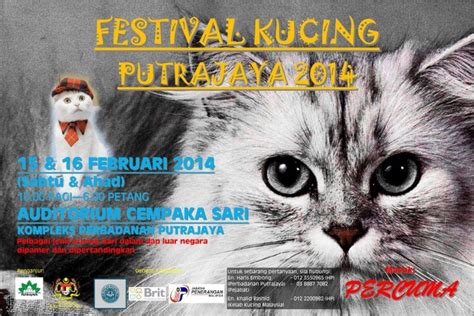 Best junior category 3 (shorthair) | kelab kucing malaysiadouble furry tales international cat show 2019 (fife)venue : Festival Kucing Putrajaya 2014