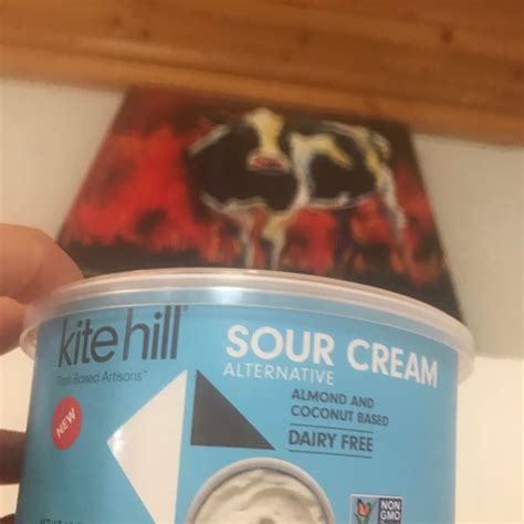 Kite Hill Sour Cream Review Abillion