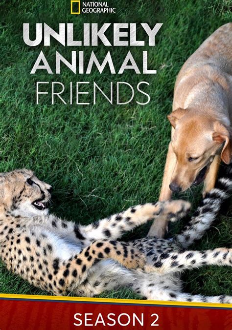 Unlikely Animal Friends Season 2 Episodes Streaming Online
