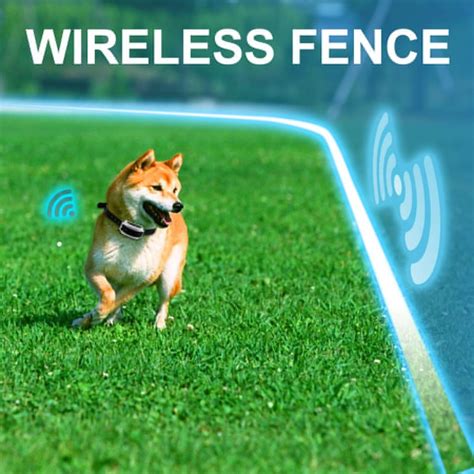 Best Wireless Dog Fence For 2018 5 Great Invisible Fence Choices