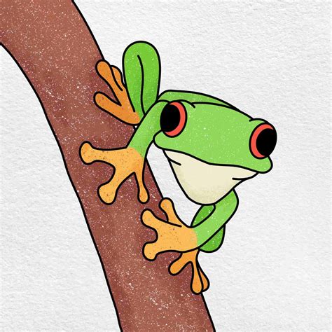 Simple Tree Frog Drawings