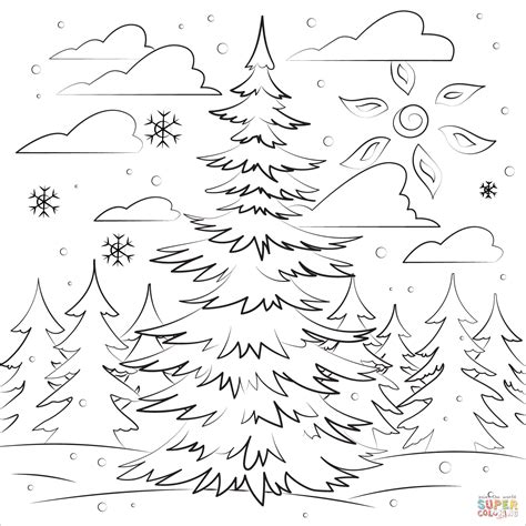 Evergreen Tree Coloring Page Free Printable Coloring Pages
