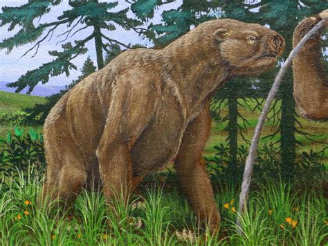 The Giant Ground Sloth A Prehistoric Creature That Was Much More Agile