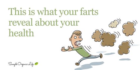 What Your Farts Say About Your Health Images And Photos Finder