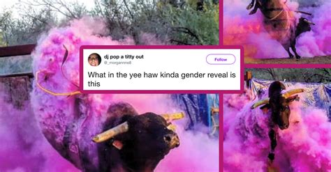 They throw pink or blue holi powder on the are you going to have a little witch or wizard? 21 Gender Reveal Parties Gone Terribly Wrong | 22 Words