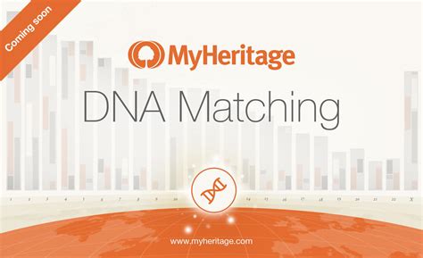 Myheritage Is Adding Free Dna Matching Myheritage Blog