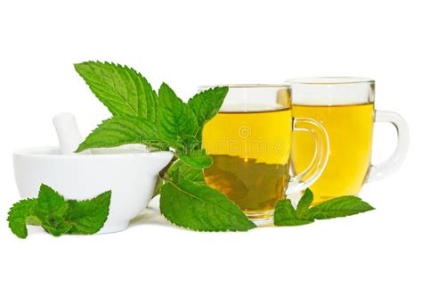 Lemon Balm Or Mint Tisane Or Tea Stock Photo Image Of Medical Fresh