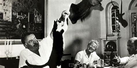 Ernest Hemingway S Cats Didn T Get In The Way Of His Manliness Photos Huffpost