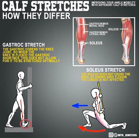 How To Calf Stretches