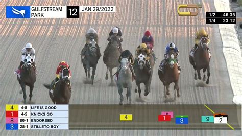 Gulfstream Park Carrera 12 The Pegasus World Cup Invitational Gr1