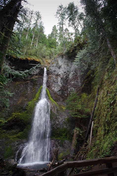 10 Easy Waterfall Hikes In Washington