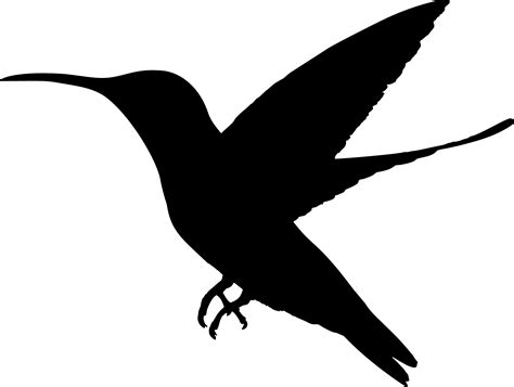 Black Silhouette Hummingbird Png Clipart Png Mart