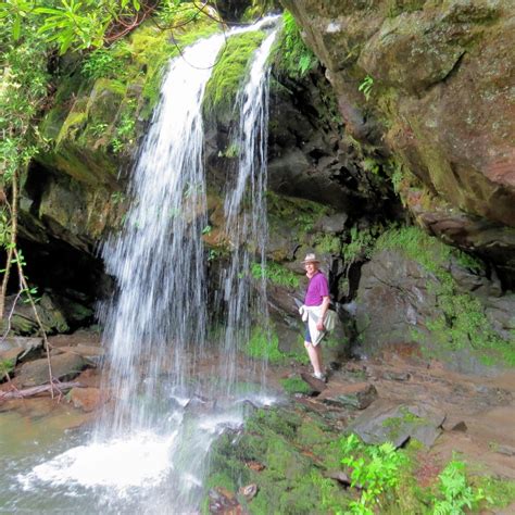 Trillium Gap Trail Grotto Falls Encuentra Tu Parque