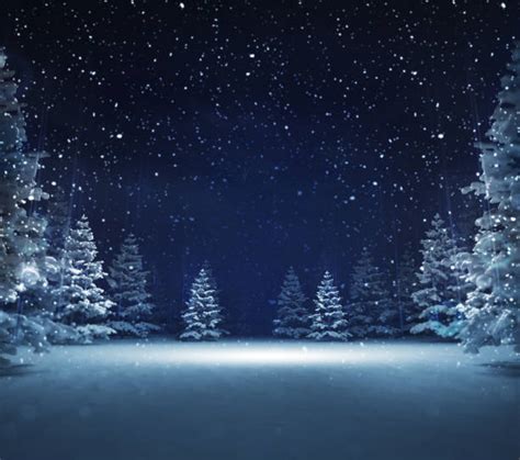 Snowy Night Stock Photos Pictures And Royalty Free Images Istock