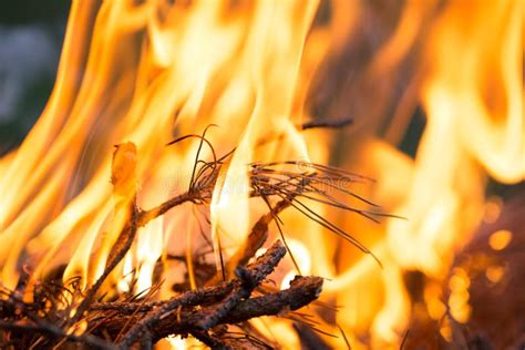 Bonfire Burning Branches Macor Fire And Smoke Close Up Stock Image