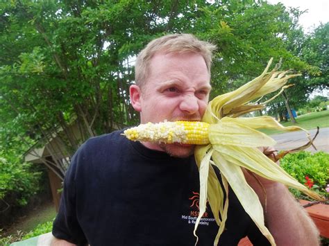 Scientific analysis of a cob of corn dating back 5,000 years shows how maize became one of our most popular cereals. Adventures in La La Land: Grilled Corn on the Cob