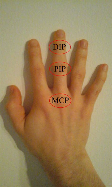 Pin On Anatomy And Use Of The Hand And Arm