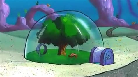 This Epic Tent Looks Just Like Sandy Cheeks House From Spongebob