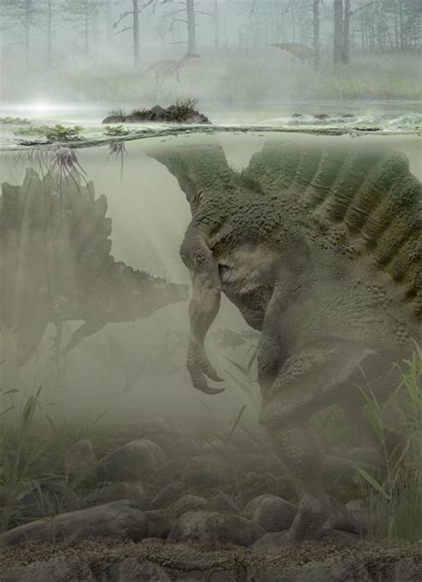 I Love This Vision Of Spinosaurus The Artist Captures The Buoyancy The