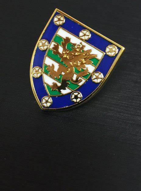 Downing College Lapel Pin Ryder And Amies