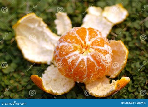 Peeled Ripe Orange Stock Image Image Of Details Green 6363083