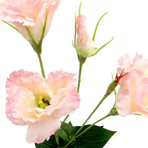 We did not find results for: Lisianthus künstlich Rosa 87,5cm preiswert online kaufen
