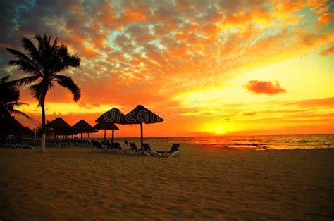 Sunset Scene At Tropical Beach Resort Stock Photo Image Of Nature