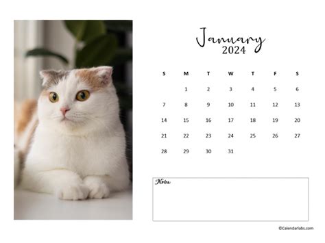 2024 Personalized Calendar Template Erena Jacenta