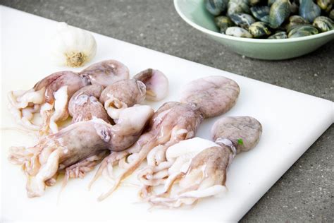 We did not find results for: Ricette Moscardini al forno - gnambox.com