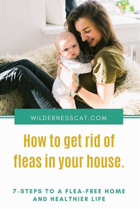 How To Get Rid Of Cat Fleas In The House A 7 Step Guide Cat Fleas
