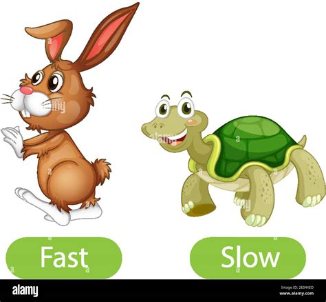 Opposite Adjective Words With Fast And Slow Illustration Stock Vector