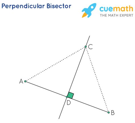 perpendicular bisector questions and answers