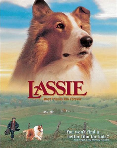 Pôster Do Filme Lassie Foto 1 De 3 Adorocinema