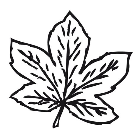 Dibujos para colorear de hojas de otoño - Imagui