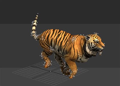 tiger 3d animation camera 136 tiger animated 3d models available for download in any file