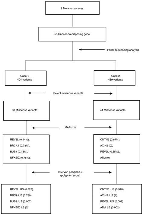 COL17A1 germline variant p.Ser1029Ala and mucosal malignant melanoma