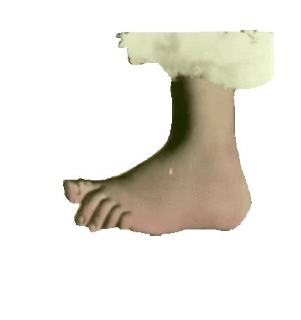 Monty Python Foot Sticker Monty Python Foot God Descubrir Y