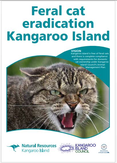 Feral Cat Eradication Project Kangaroo Island Council