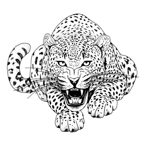Panter Kleurplaat • Kidkleurplaat.nl
