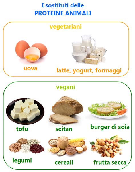 Ammazza 15 Elenchi Di Come Sostituire Le Proteine Animali Cosa Sono