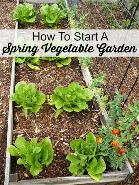 How To Start A Spring Vegetable Garden