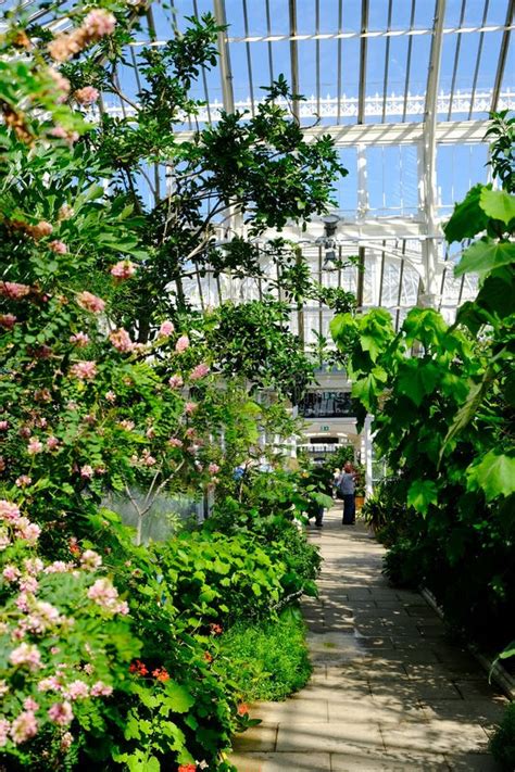 Landscape Of Royal Botanic Gardens In Kew Editorial Stock Image Image