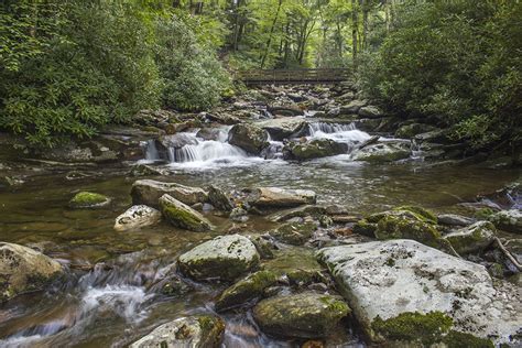 Great Smoky Mountain Streams For Good Fly Fishing In The Park