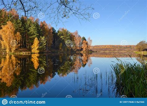 Beautiful Autumn Sunset Over Lake Landscape In Forest