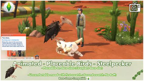 Mod The Sims Animated Placeable Birds Steelpecker