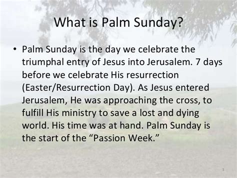 What Is Palm Sunday Palm Sunday Marks The Beginning Of Holy Week