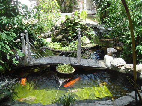 Membuat kolam ikan hias di halaman ~ mendesain rumah tidak hanya untuk interiornya saja tetapi menerapkan konsep kolam ikan hias minimalis bisa diletakkan pada area interior maupun eksterior. Contoh Kolam Hias Minimalis Untuk Inspirasi - Ikan Hias ...