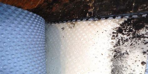 We did not find results for: How to Get Rid of and Prevent Mold Growth on Concrete ...
